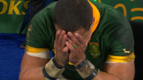 为什么选择我们